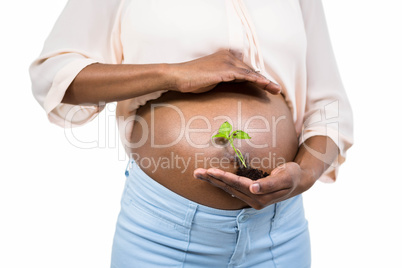 Pregnant woman holding a growing plant