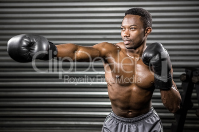 Shirtless boxer training