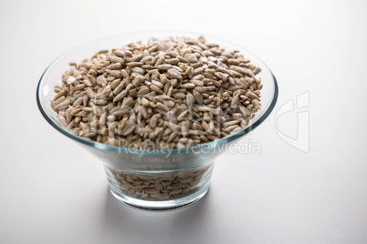 Bowl of seed