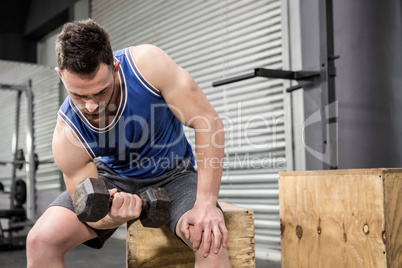 Muscular man lifting dumbbell on wooden block