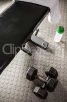 Bench and dumbbells