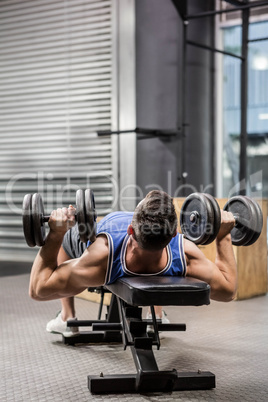 Muscular man on bench lifting dumbbells