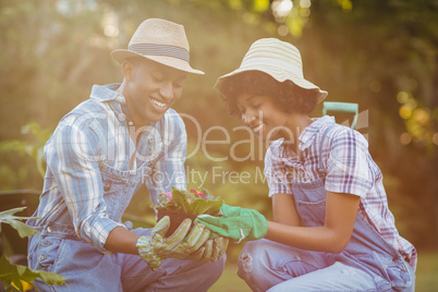 Happy couple in the garden