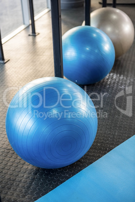 Fitness balls