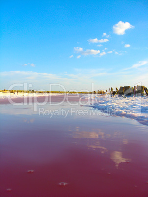 landscape with salty sea in Sivash