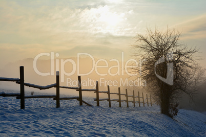 Zaun im Winter beim Sonnenaufgang