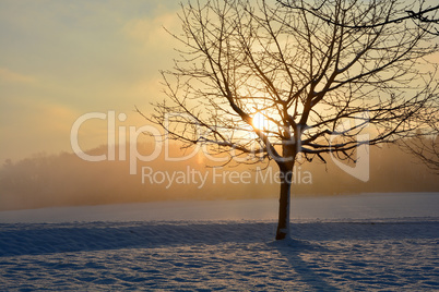 Sonnenaufgang im Winter