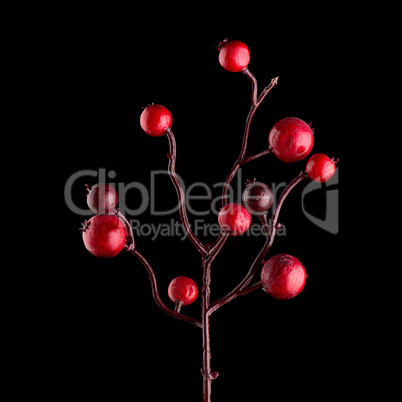 Red Christmas decoration branches