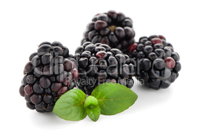 Blackberries with leaves