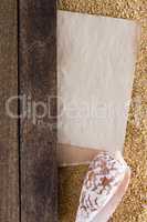 Sea shell on the wooden background