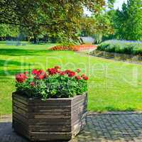 summer park with beautiful flowerbeds