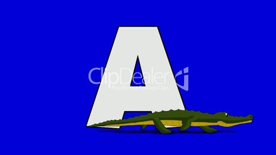 Letter A and Alligator (foreground)