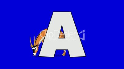 Letter A and Antelope (background)
