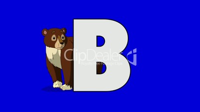 Letter B and Bear (background)