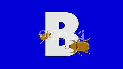 Letter B and Beetle (foreground)