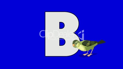 Letter B and Bird (foreground)