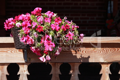 Flowerpot On Balcony