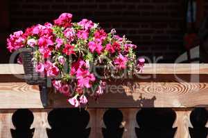 Flowerpot On Balcony