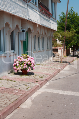 Flowers On The Street