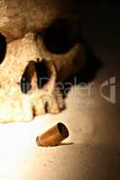 Skull And Cartridge