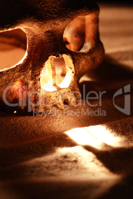 Skull On Sand