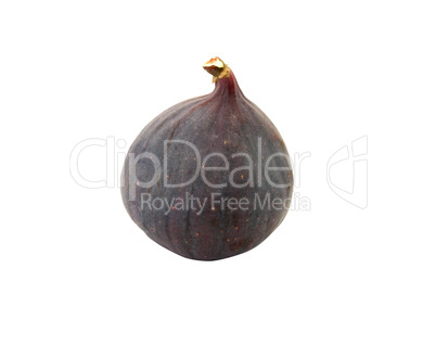 Fig On White