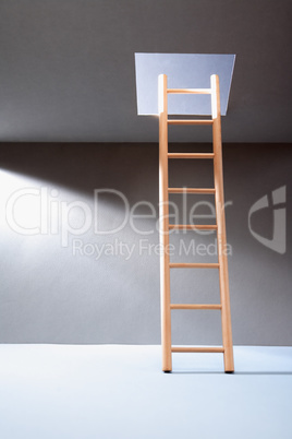 Ladder In Hatch