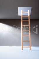 Ladder In Hatch