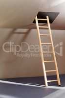 Ladder In Hatch