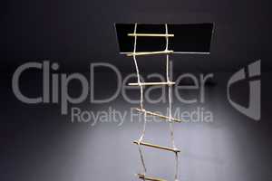 Rope Ladder