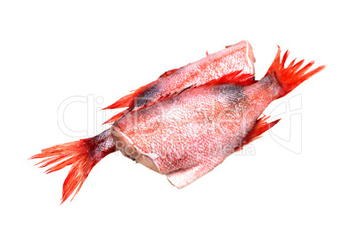 Raw Fish On White