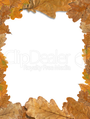 Autumn Leaves Frame