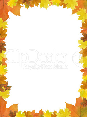 Autumn Leaves Frame