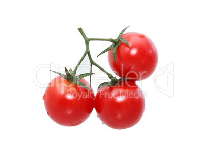 Cherry Tomatoes On White