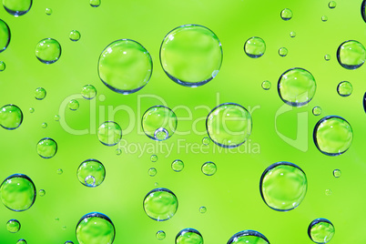 Green Drops Background