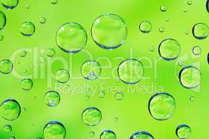 Green Drops Background