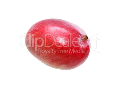 Mango Fruit On White