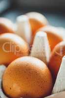 Chicken eggs in egg tray
