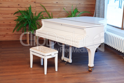 Stylish White Piano