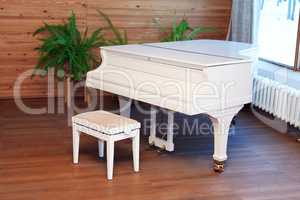 Stylish White Piano