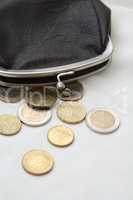 Wallet And Coins
