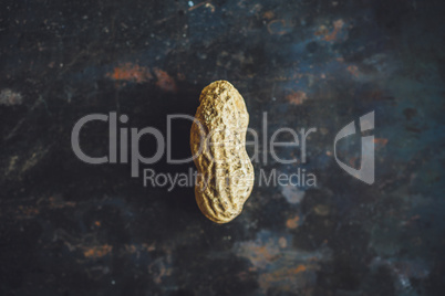 One fresh peanut in shell on dark backgrond