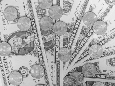 Black and white Dollar coins and notes