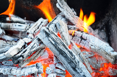 bonfire, fire, wood coal and ash