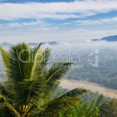 mountain, town and river in the morning mist (top view)