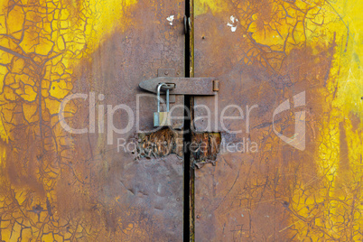 Background of door with lock in metal material
