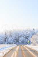 Winter road through snowy fields and forests