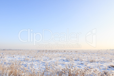 snow-covered field with grass