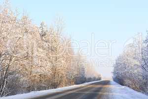 Winter road through snowy forests