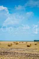 Straw bales on farmland